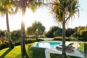 contemporary curved pool, rolling turf mounds and coconut palms