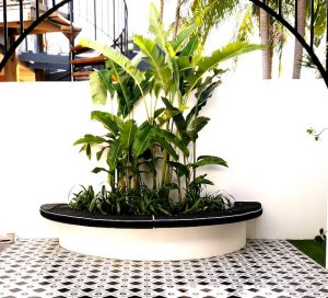 Hamptons style courtyard with black and white tiles and planter